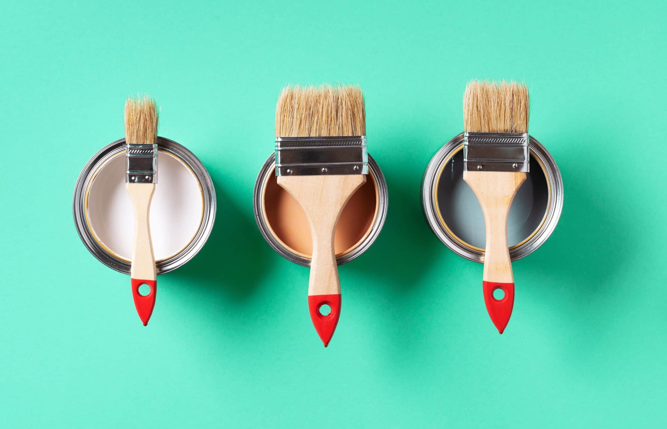 Najbolje recenzije četki za molere